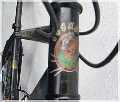 grateful dead deadheads